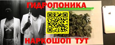 гидра Свободный