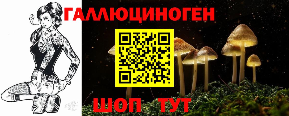 Галлюциногенные грибы Psilocybine cubensis Печора