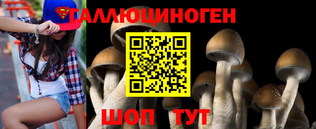 Печора  Псилоцибиновые грибы MAGIC MUSHROOMS  Вход с VPN 